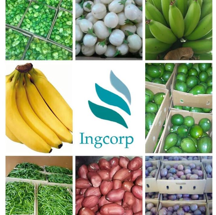 Precious8610's tweet photo. DM for quality fruits and vegetables 👌 https://t.co/xhjGIXhSMR