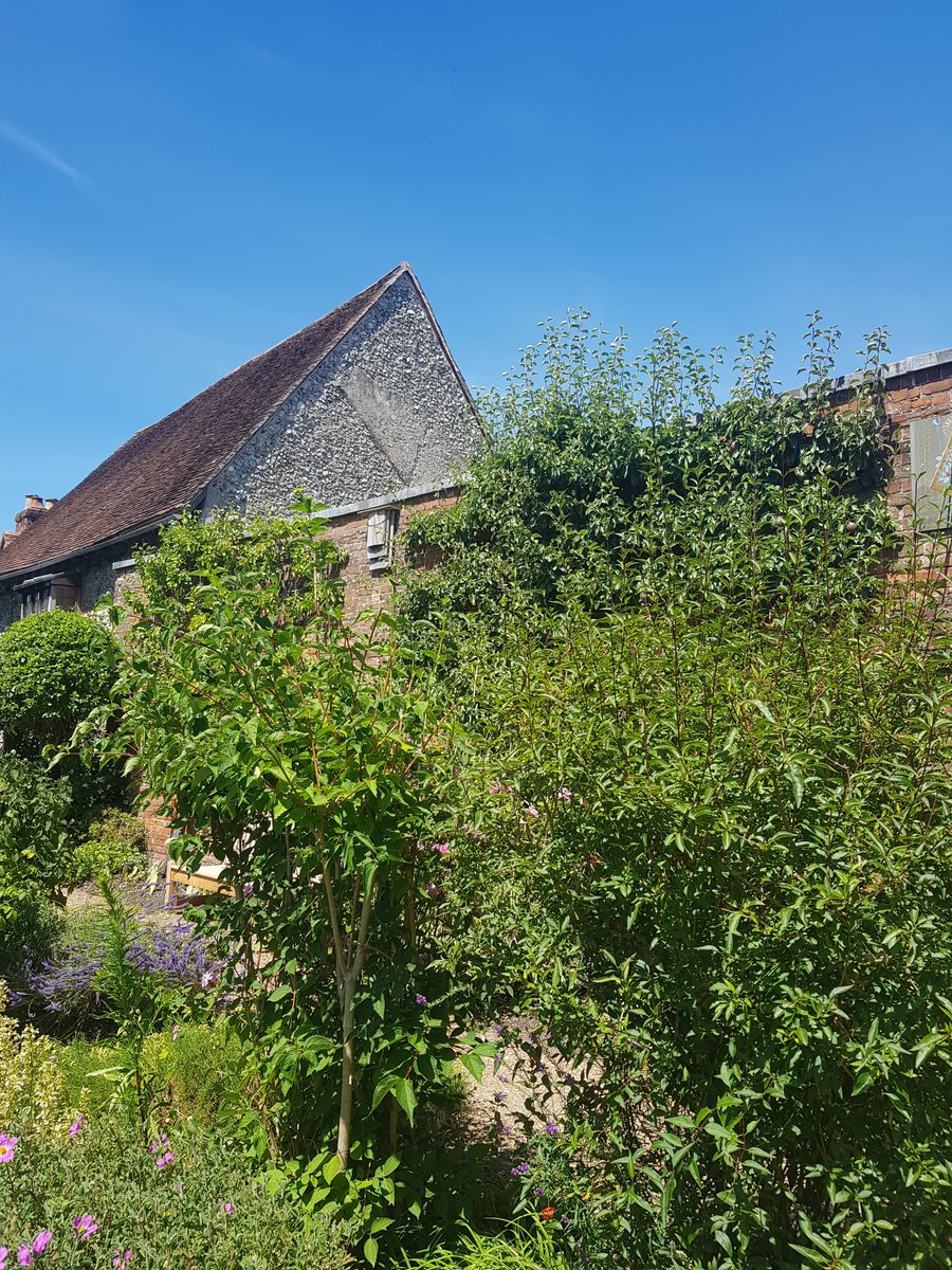 KingJohnsHouse's tweet photo. Regrettably #MissMoodys and #KingJohnsHouse will be closed tomorrow (Wednesday 10th August), but you can get your fix of #HistoryAndCake again soon. @moreTestValley @VisitTestValley @Visit_Romsey https://t.co/GFLwoBO6PG