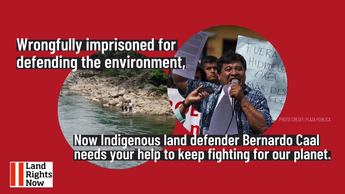 LandRightsNow's tweet photo. This #IndigenousPeoplesDay, support an indigenous land defender who’s not giving up.

✊Donate to help Bernardo Caal continue the fight to protect nature >> https://t.co/51UEkij2vj https://t.co/VbLK6fUYC8