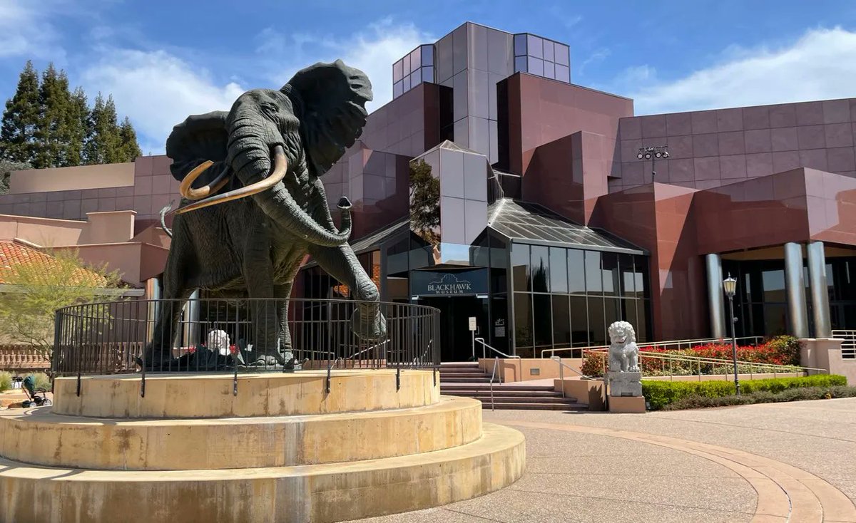 GIVEjoy (@givejoy111) on Twitter photo Blackhawk Museum: A Hidden Gem In Danville, CA
#TravelTuesday #IFWTWA #Danville #California #History #museums
buff.ly/3SjteJE via <a href="/FWTMagazine/">FWT Magazine</a> <a href="/JudyKarnia/">Judy Karnia</a> Blackhawk Museum: A Hidden Gem In Danville, CA
#TravelTuesday #IFWTWA #Danville #California #History #museums
buff.ly/3SjteJE via <a href="/FWTMagazine/">FWT Magazine</a> <a href="/JudyKarnia/">Judy Karnia</a>