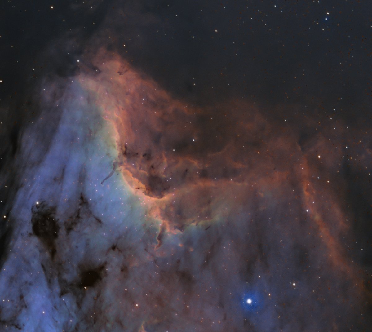 1st pass process of North America Nebula (& Pelican).

Perhaps a waste to do narrowband imaging in a #darkskypreserve 🤪but it does improve signal-to-noise!

🗓️ July 24/26/27/30/31
⏲️5m x 30/20/30 Ha/[OIII]/[SII]
🌈 Hubble Palette
🔭Esprit 100
📷 QHY600
🗺️ #TerraNovaNP

#nlastro