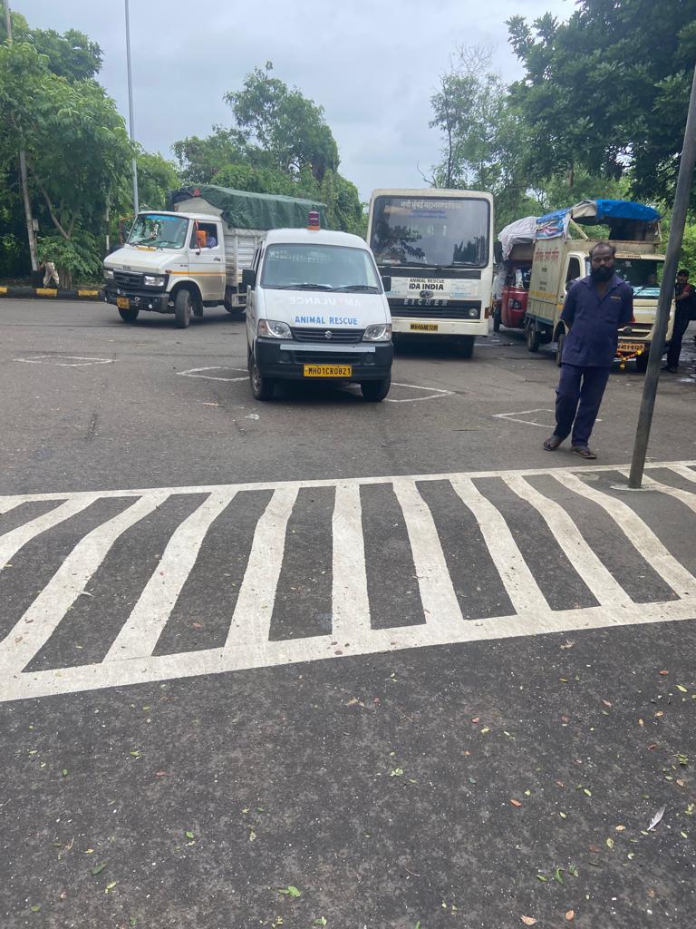 NRI_doglovers's tweet photo. The "Gundaraj" at NRI Complex, obstructing the entrance of IDA van to release the dogs back to their space, that were wrongfully caught @NMMCCommr @bksinghips @DGPMaharashtra The dogs have been in the van for over 5 hrs. Do something Dr. Pawar. https://t.co/1vZvUKlkR3