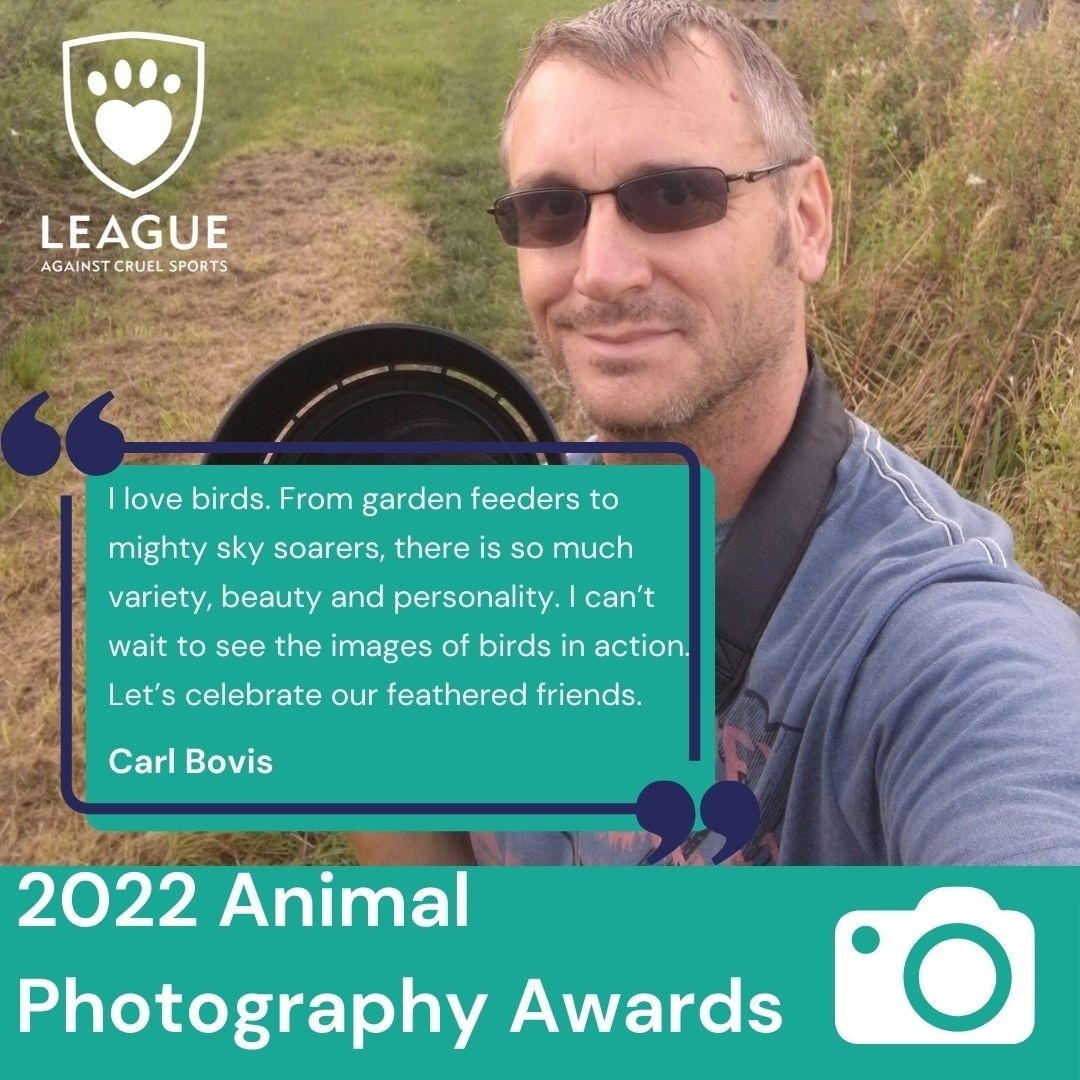 LeagueACS's tweet photo. Would you like to have your Beautiful Birds photo judged by Birding and photography expert @CarlBovisNature? Visit https://t.co/4e37nXfG1s to enter #TwitterNatureCommunity #100birds #photography #nature https://t.co/LOARgxvoKS