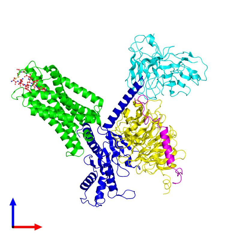 PDBimagebot's tweet photo. 'CryoEM structure of somatostatin receptor 4 (SSTR4) in complex ..' published in Cell Res. Find it at https://t.co/P9UEdYkg7Y https://t.co/F1SlcUDucK