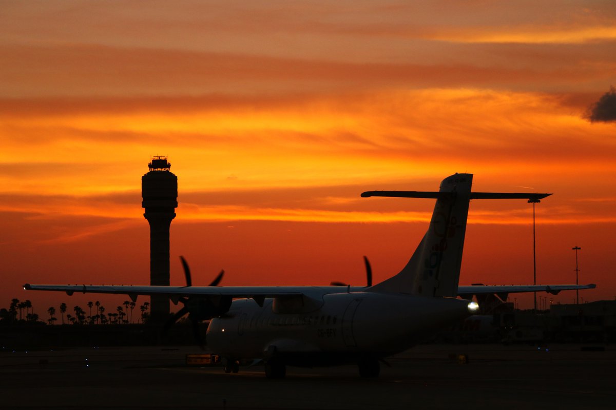 MCO photo