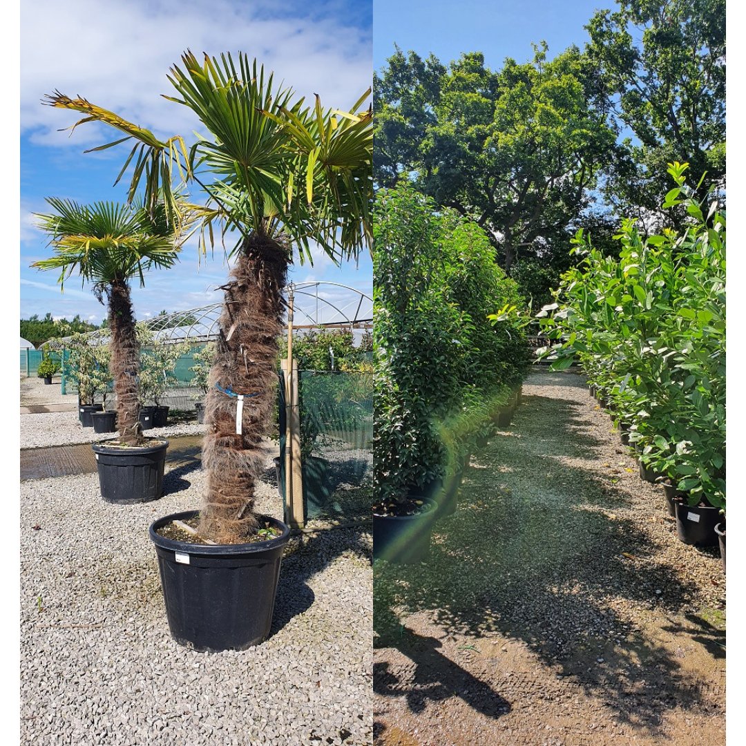 Grasslands Nursery tweet media