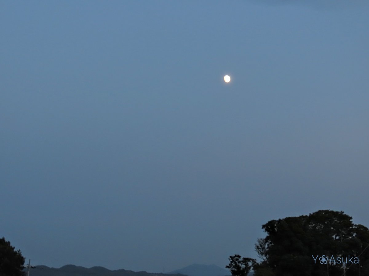 yumeasutw's tweet photo. 月が綺麗です🌔

お疲れ様です🏁
ほんのり茜色に染まる西の彼方に
#かなとこ雲 が広がる #夕暮れ 🌆
南東の空に #宵月 (月齢11.7)が
昇っています。

#空の名前
#雲の教室
#天気の図鑑 #雲友
#マジックアワー #市民薄明
#夕空 #夕焼け #鉄塔 #電柱 #電線
#月 #moon
#a2022 #a0809 #a202208 https://t.co/ene1D7bEnP