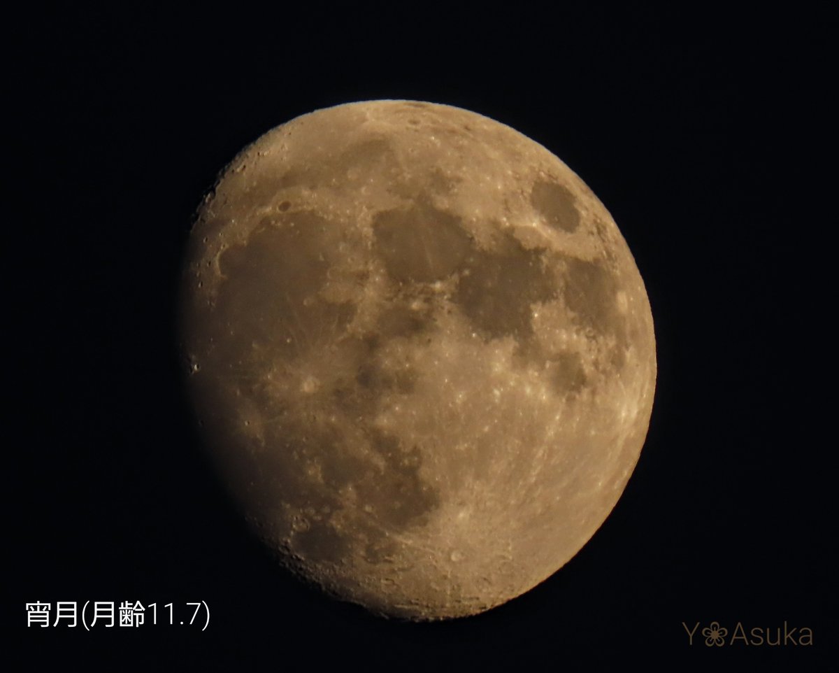 yumeasutw's tweet photo. 月が綺麗です🌔

お疲れ様です🏁
ほんのり茜色に染まる西の彼方に
#かなとこ雲 が広がる #夕暮れ 🌆
南東の空に #宵月 (月齢11.7)が
昇っています。

#空の名前
#雲の教室
#天気の図鑑 #雲友
#マジックアワー #市民薄明
#夕空 #夕焼け #鉄塔 #電柱 #電線
#月 #moon
#a2022 #a0809 #a202208 https://t.co/ene1D7bEnP
