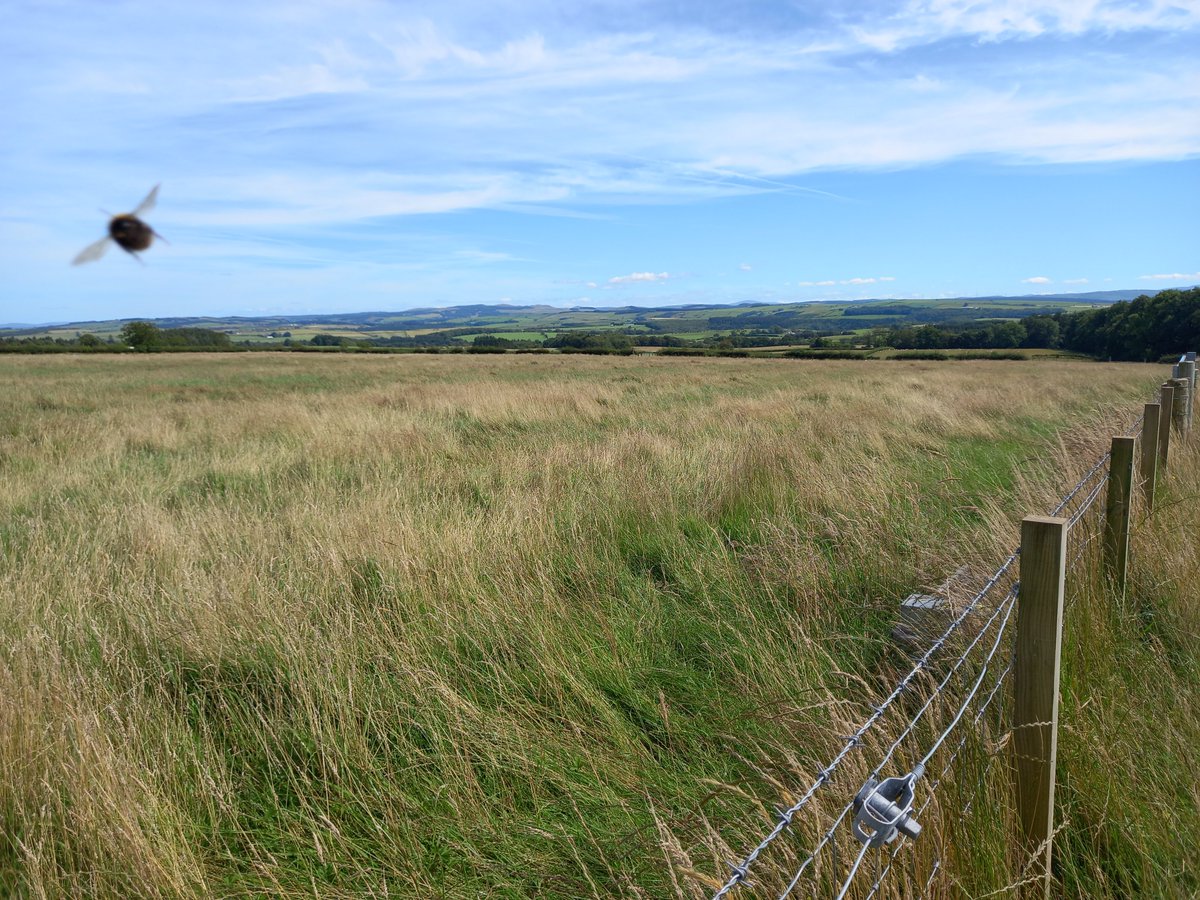 PinmoreLow's tweet photo. It's our annual cut the field &amp; hope for hay time 🌞 This year we cut late, kept away from the edges, left an acre unmown, &amp; mowed outwards to help improve wildlife chances &amp; encourage more of it for future photobombing. Thanks Alan Caldwell 👍
#farmingforwildlife #ayrshire https://t.co/etEbx1Ye1V
