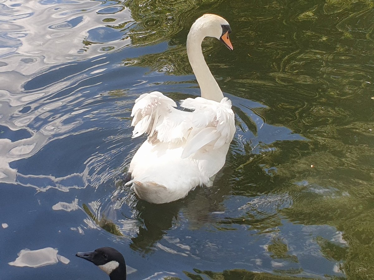 Rowan Winter tweet media