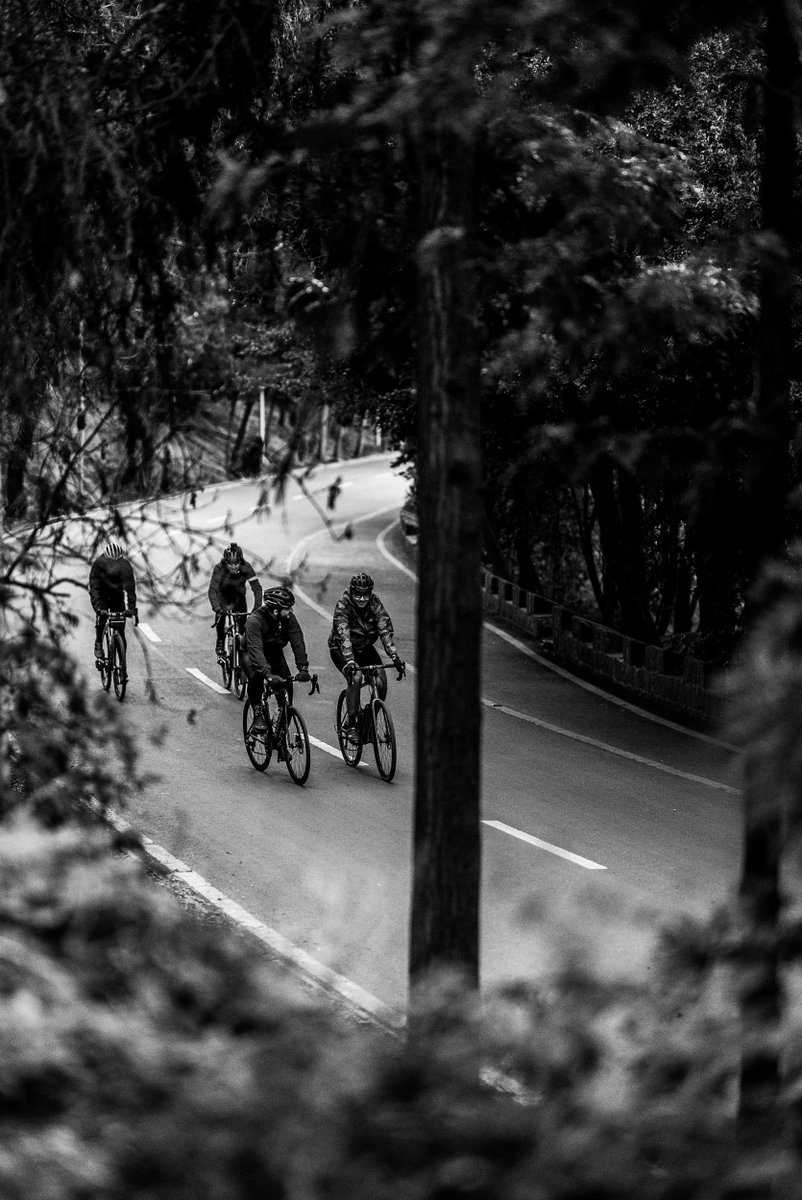 Specialized Chile tweet media