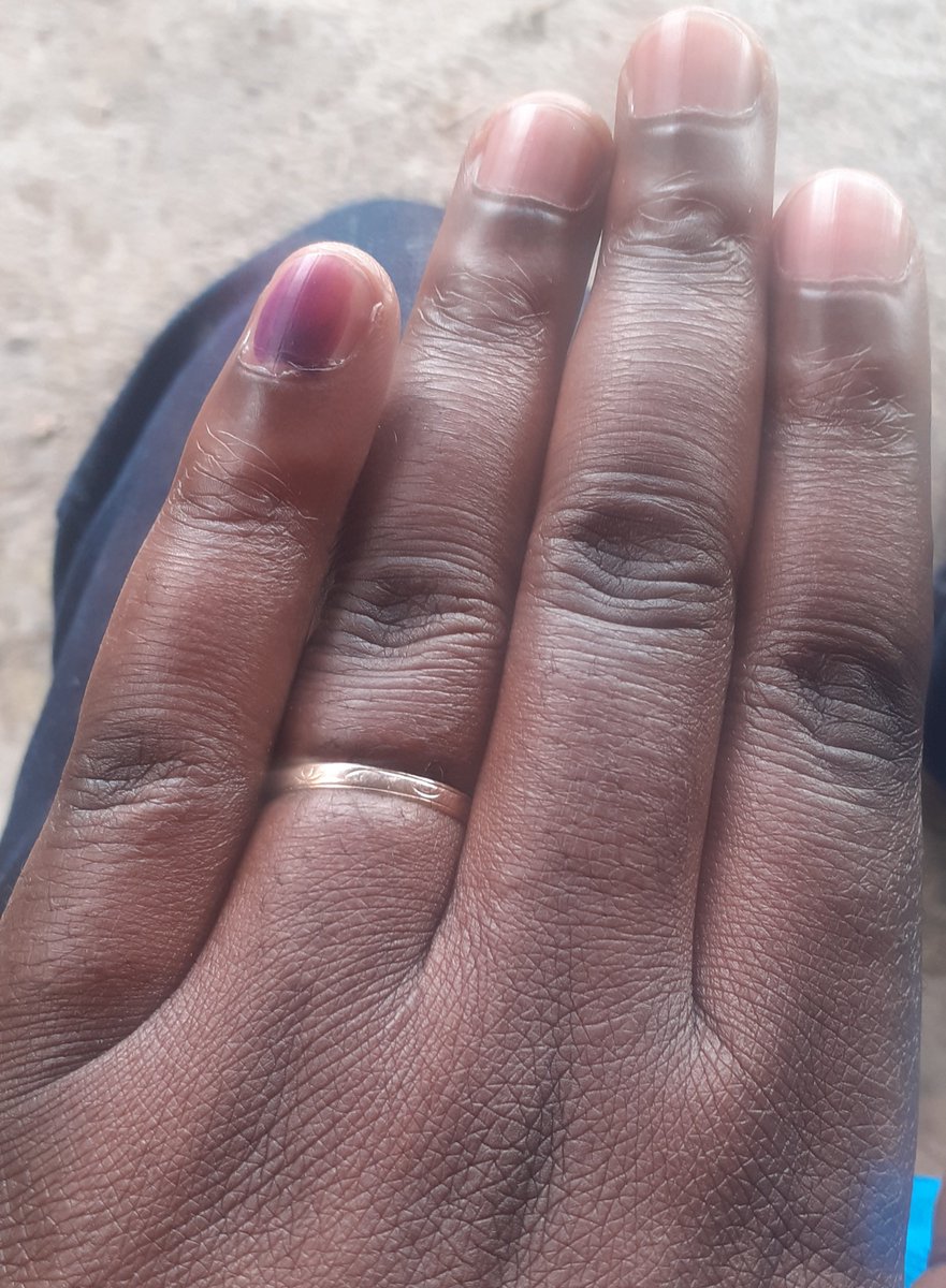 Captain Murife🐱🐱 tweet media