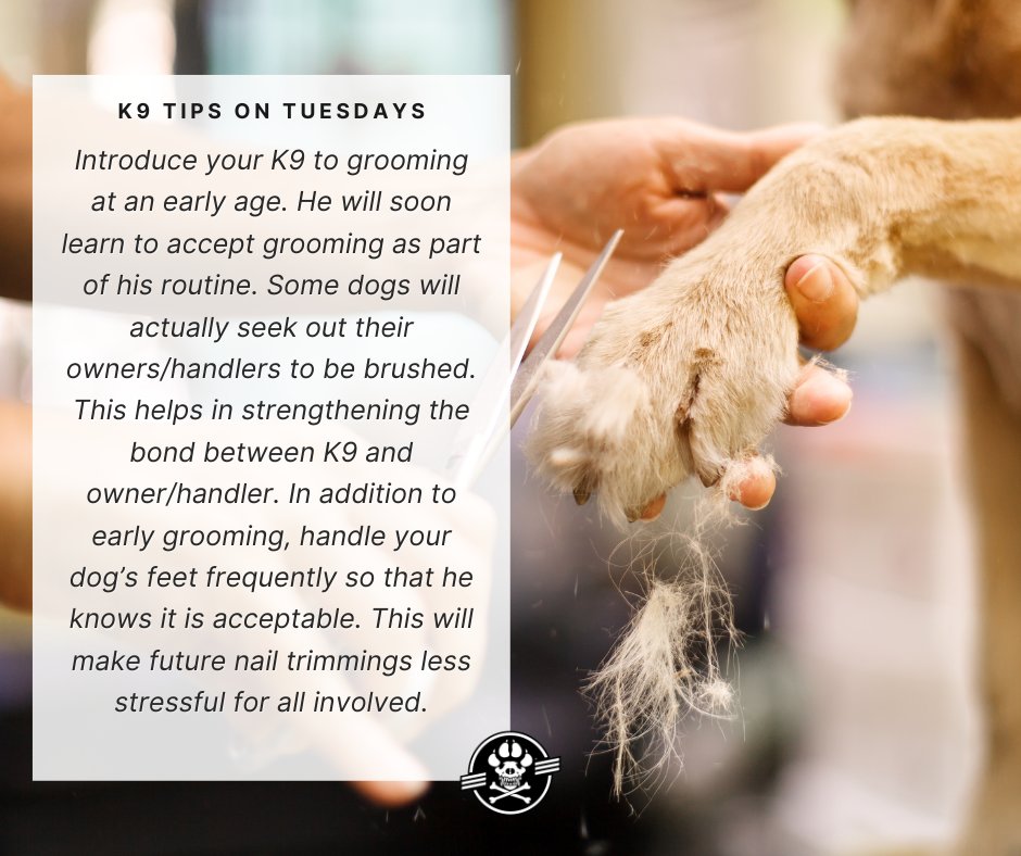 workingdogmag's tweet photo. #K9TipsonTuesdays
introduce your K9 to grooming at an early age.
#tipsontuesday #tuesdaytips #tips #workingdogs #mansbestfriend #doglife #doglover #k9family #workingdog #dog #dogs #canine #thinlinemedia #workingdogmagazine ยฎ #coffeewithkaren #wdtc https://t.co/t4PATINCEc