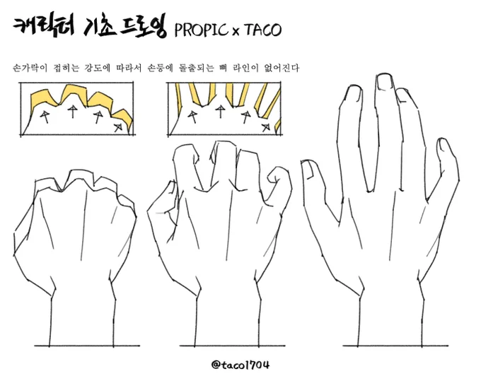 손가락이 펴지거나 접히는 강도에 따라서 손등에 돌출되는 뼈 라인이 없어진다 