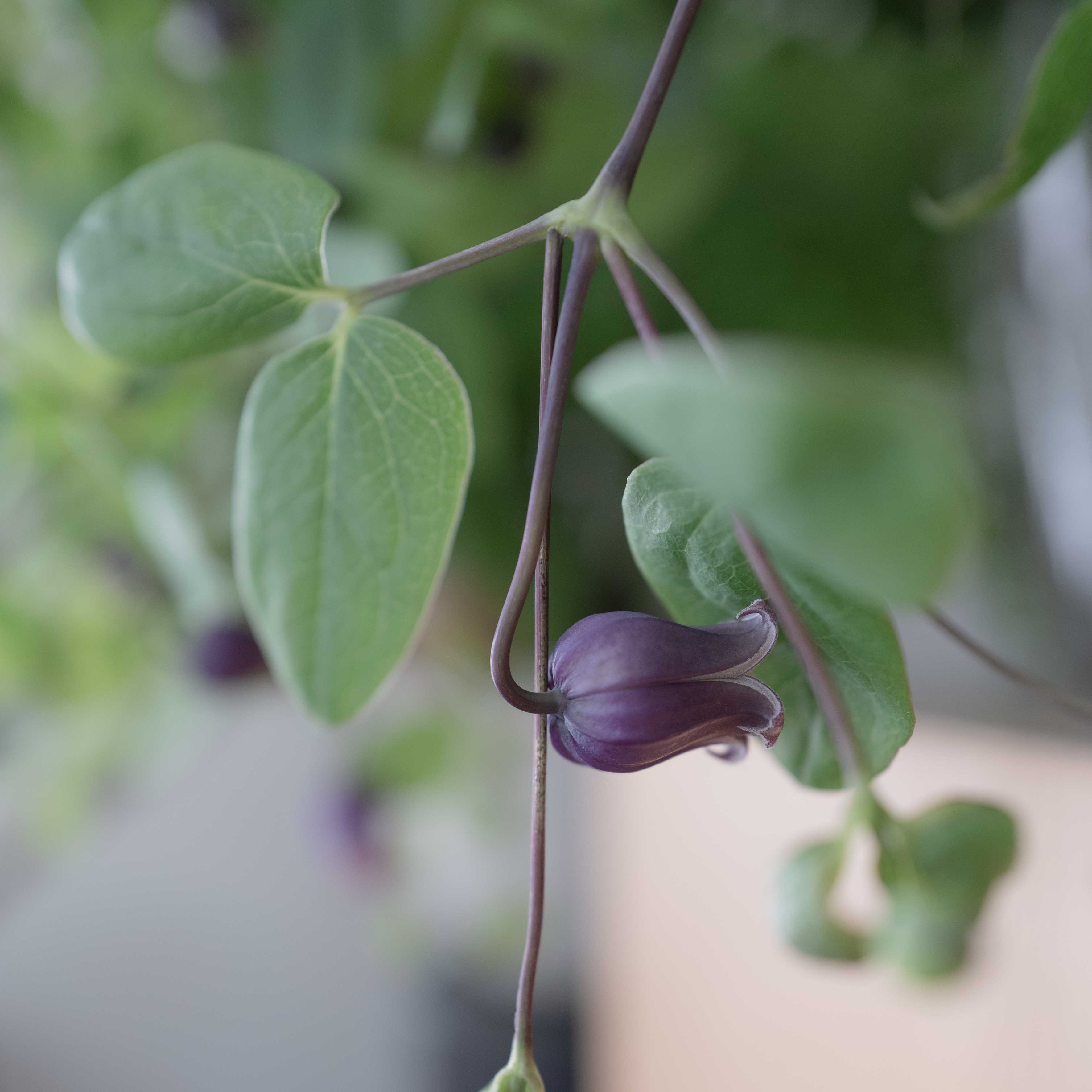 大塚智子 ジュールドゥ Jourdouxohtsuka Twitter