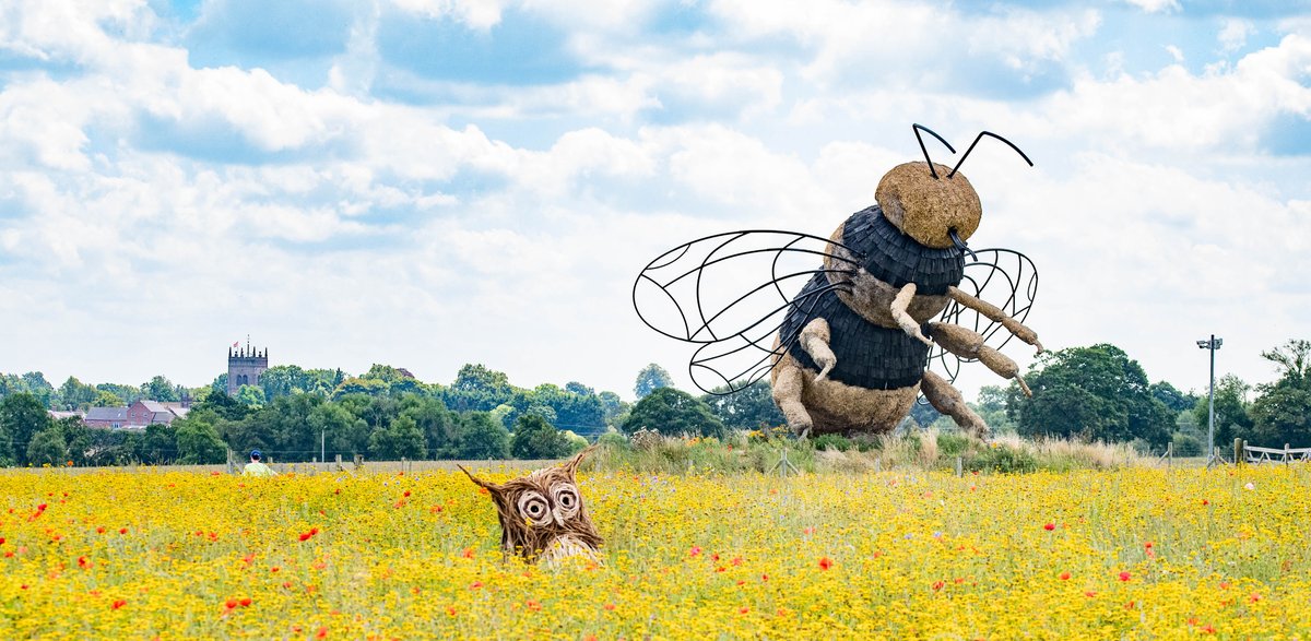 Danny Mendoza tweet media