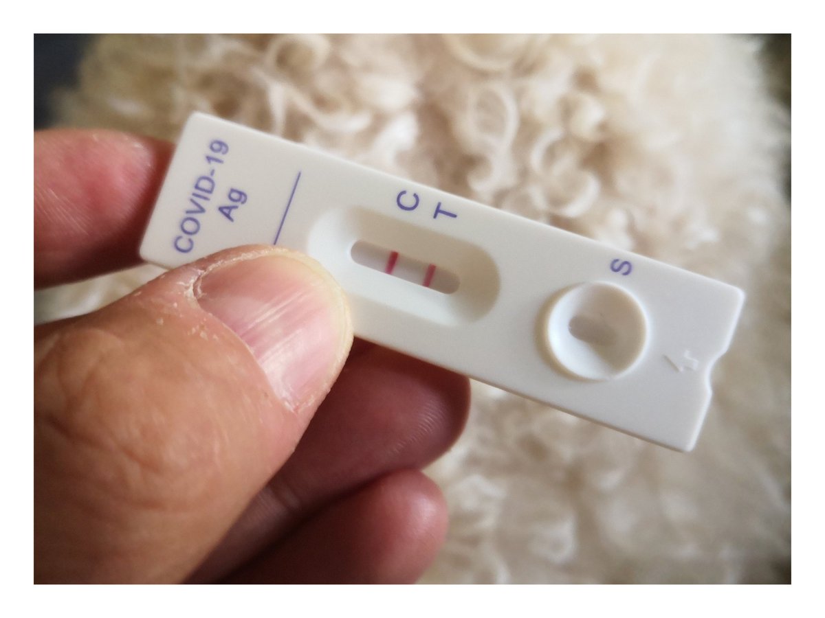 Sociaall Inc. tweet media