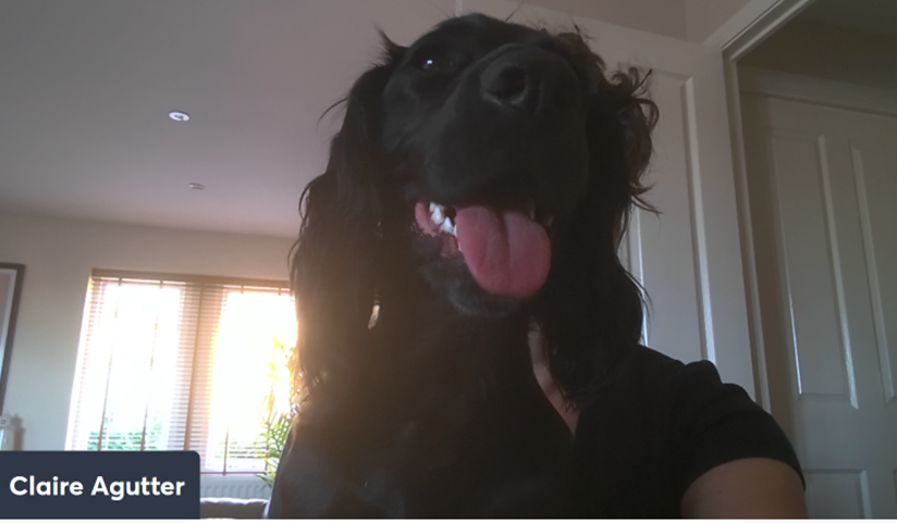 ClaireAgutter's tweet photo. How was my hair on the call this morning @MMG9898 ??
#DogsofITSM https://t.co/qvA9ze4pov