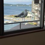 ツイートに含まれる画像