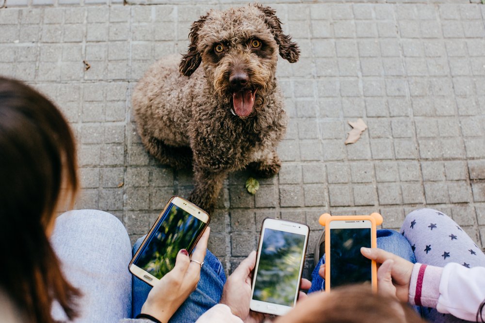 Don’t forget! 🔊  

You can call our Citizens Information Phone Service to speak with one of our information officers. 📞

Call 0818 07 4000 from 9am to 8pm, or visit our website for the latest information 👉 citizensinformation.ie/en/