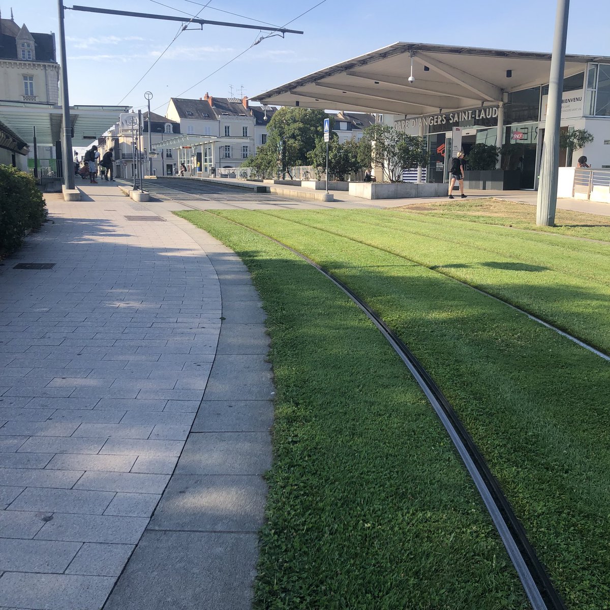 Romain Laveau 🇪🇺🌻 tweet media