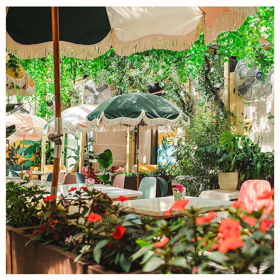 CaxtonManorTeam's tweet photo. Sip on creative cocktails among a blooming oasis at #residentsdc! 🍹🌸
This bar can be also be hired for your next private event!
📷: @residentsdc #washingtondc #ExperienceDC #dc https://t.co/aNCjueU0Ca