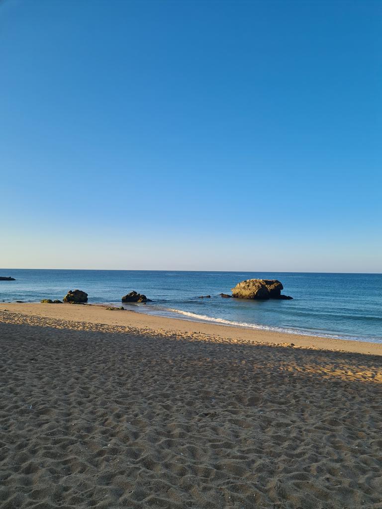 jimmyunited1's tweet photo. When the body clock doesn't know you are on hollibobs
Have a great day my friends
#notPortrush #ALGRAVE
@bestofalgarve @WeatherCee @loveportrush
#BENICE https://t.co/Tsog5EtqZt