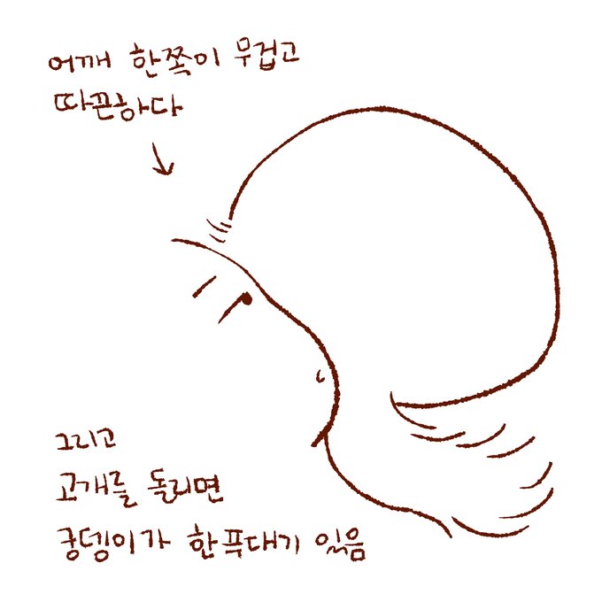 인간 시점 