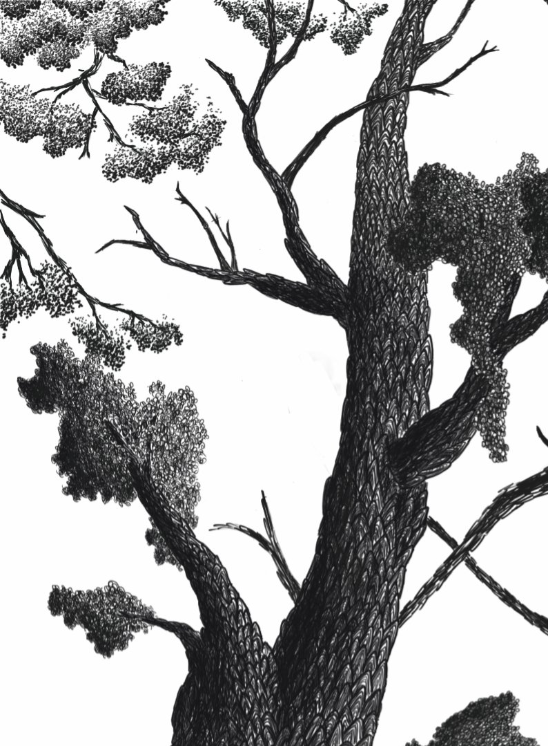 Good morning ♡
Notice the details. They create the picture 🌳