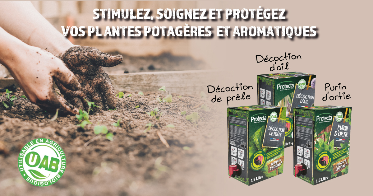 Désherbez vos jardins, cours, terrasses, et prenez en soin grâce à nos décoctions de plantes ! 🌳🪴🌱🌾🌹
➡️ verlina.com/recherche?utm_…