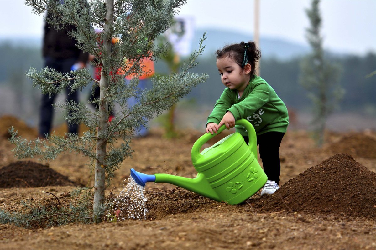 It’s the little things citizens do that will make the difference. My little thing is planting trees. ~Wangari Maathai Do something for #humanity, plant #trees not #plastics #EnvironmentalJustice #planting #ClimateAction #ClimateBrawl