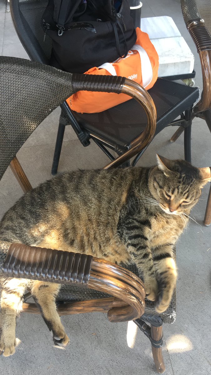 “Zordur anlaşılmak; özelliklede farklı düşünen ve yaşayan insanlar arasında..”

Friedrich Nietzsche