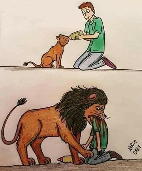 fffahhaadd83's tweet photo. الغدر عند البعض اسلوب حياه https://t.co/KzkArkqLr6