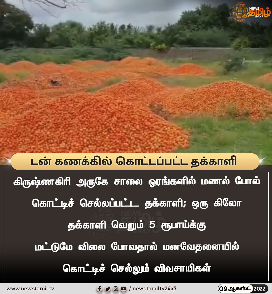 NewsTamilTV24x7's tweet photo. டன் கணக்கில் கொட்டப்பட்ட தக்காளி 

#NewsUpdate
#Krishnagiri #Tomatoes #RateDecrease 
#NewsTamil24x7 #நியூஸ்தமிழ்24x7 https://t.co/VBehaYh8ge