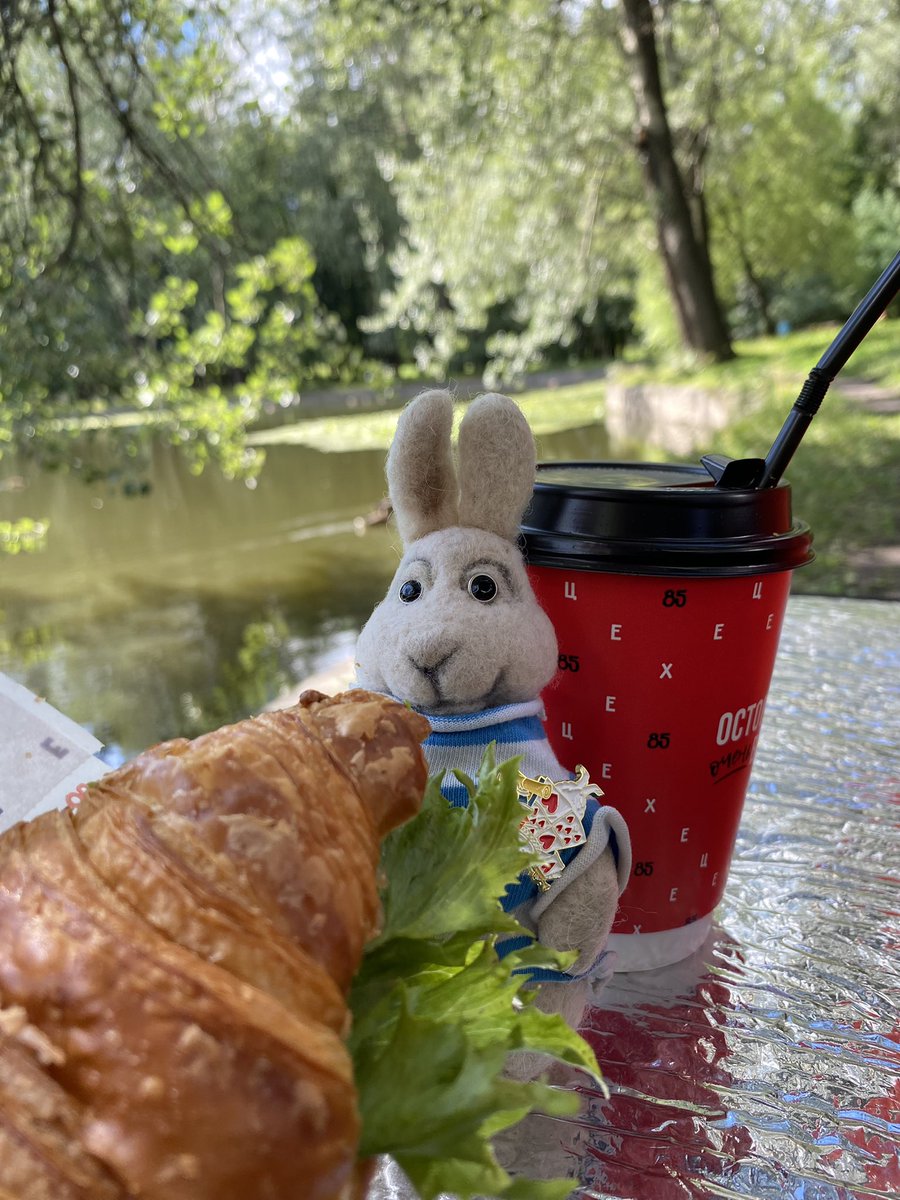 Hello, my friends!
Wish you a good day ❤️❤️❤️
#mrrabbit