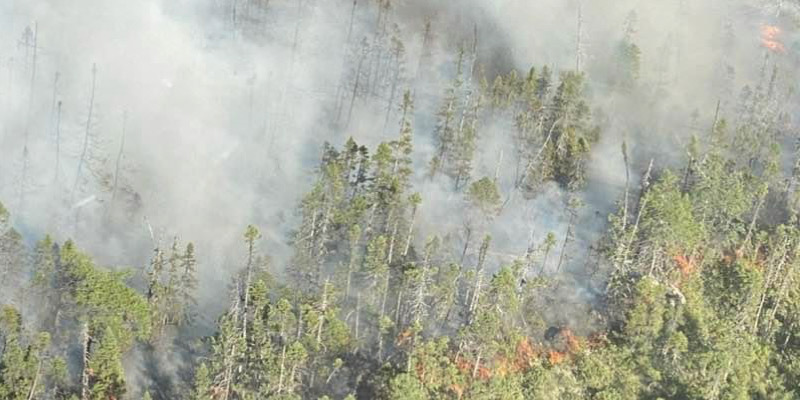 Today's VOCM News Question of the Day:

Do the fires in central Newfoundland worry you?

vocm.com/2022/08/09/aug…