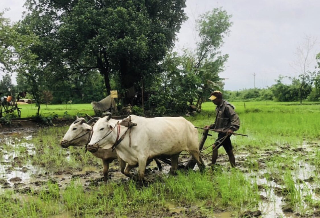 (3/4) Many of my relatives still struggle to have basic requirements. Still use of chulha for some things and wood requirement is satisfied by home grown bamboo…. Cousin aspiring for ITI admn …And there are many more things !