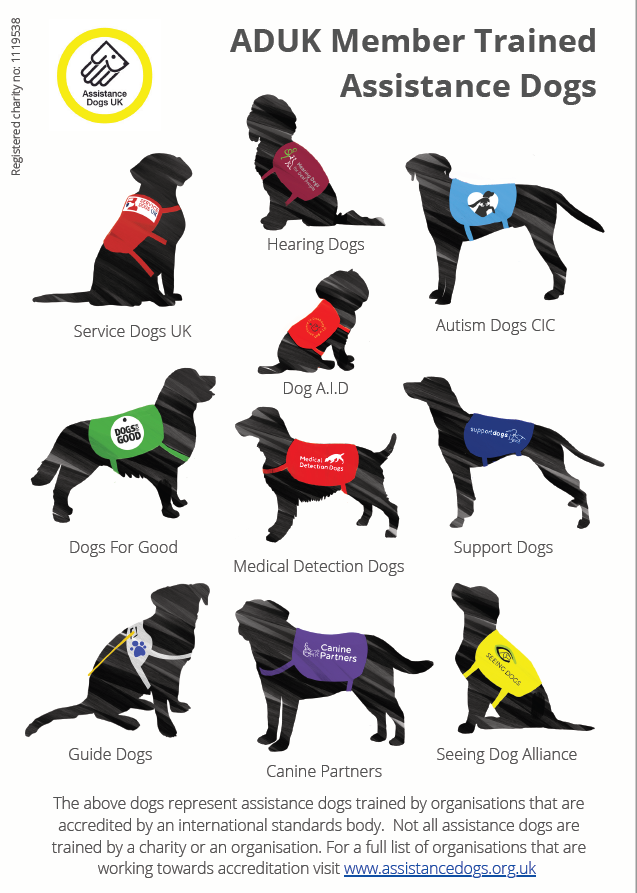 Charity_ADUK's tweet photo. Yesterday we celebrated the start of #InternationalAssistanceDogWeek by getting together with our wonderful member organisations! 

Here are some of the dogs they train, showing that assistance dogs come in all shapes and sizes! 
#AssistanceDogs https://t.co/0OHEs5ModP