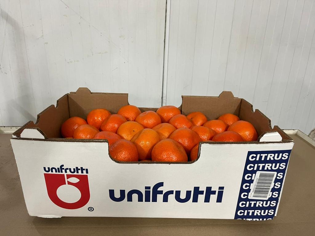 First arrival of our Valley Gold Mandarins - 11kg box, sizes Cal 1X available 🇿🇦

#mandarins #unifrutti