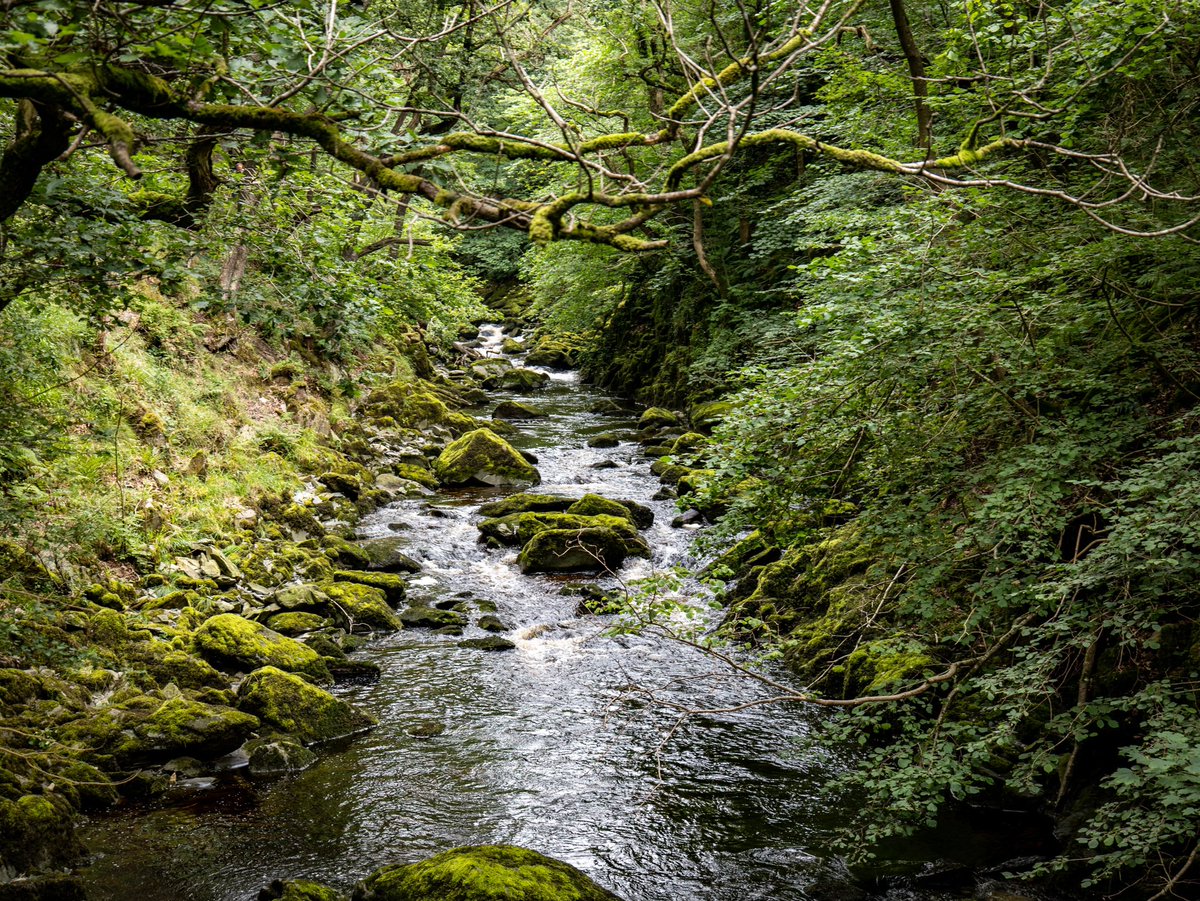 dannyexplores's tweet photo. This weekend we spent some time exploring one of my favourite spots in the Yorkshire Dales
πIngleton Waterfall Trail
Bet you didnβt know there were waterfalls like this in Yorkshire π
My guide will be updated this week
#ingletonwaterfalltrail #yorkshiredales #visitengland https://t.co/T0J1rLJkTe