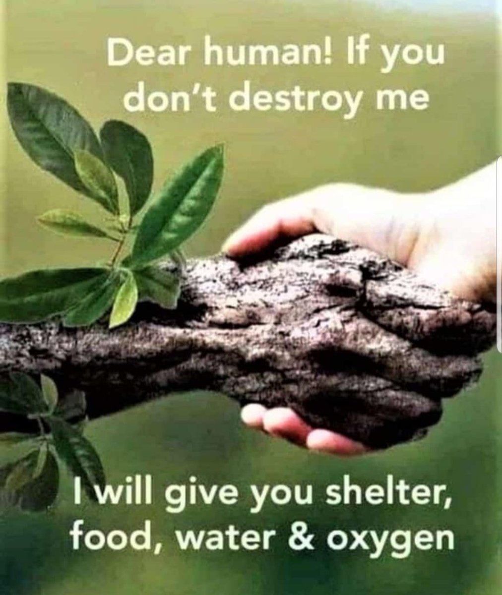 Rmukago's tweet photo. Whenever I see this, I remember this quote;
“The Earth will not continue to offer its harvest, except with faithful stewardship. We cannot say we love the land and then take steps to destroy it for use by future generations.”-John Paul II
Friends we need to fight a war @nemaug https://t.co/zQF6bgn3nt