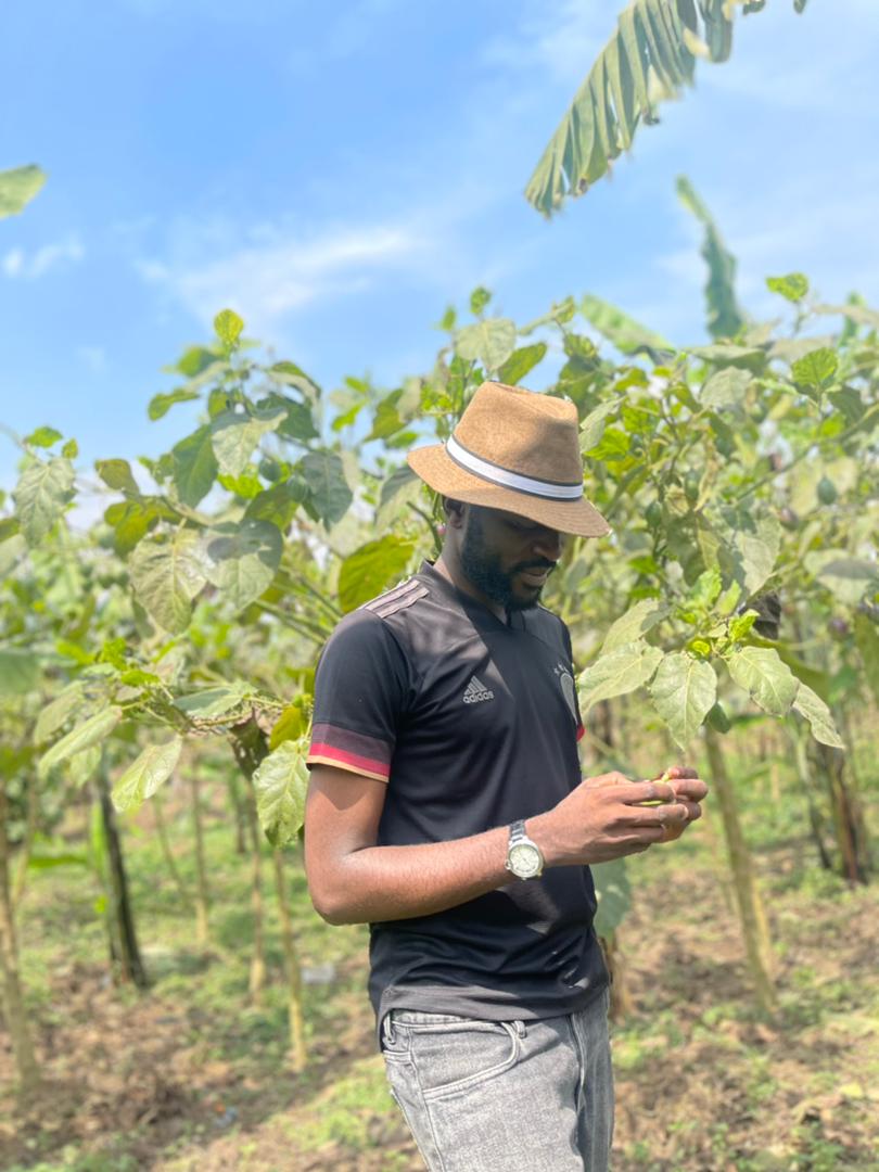 malekani_s's tweet photo. Vos projets agricoles 👨‍🌾 sont pour nous des CHALLENGES, peu importe le temps et le prix à payer car chaque fruit raconte un PARCOURS...👌

@s_malekani @olga_chera @leParrainRDC @Malisho_RDC @tisyamukuna @kakese_leon @GSAD_rdc @ypard_rdc @24Biodrc @TanyaNzeba @Bob_Ditend @JKanyoni https://t.co/HhFmsk5jpq