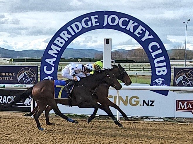 Mark Nowell tweet media