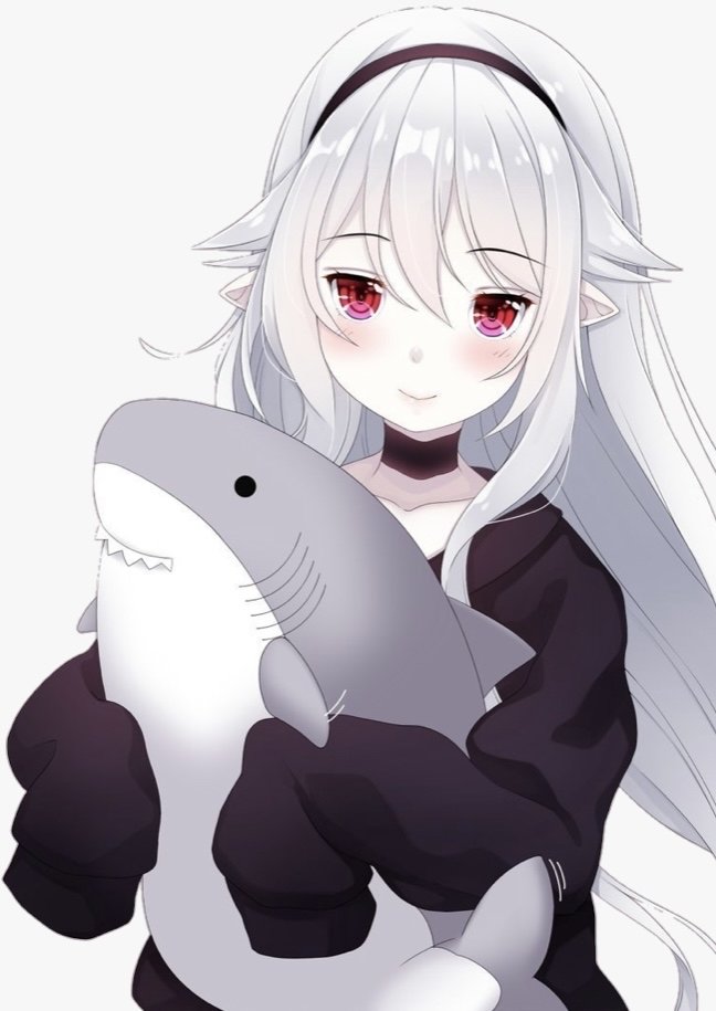 Shark Gang 🦈 tweet media