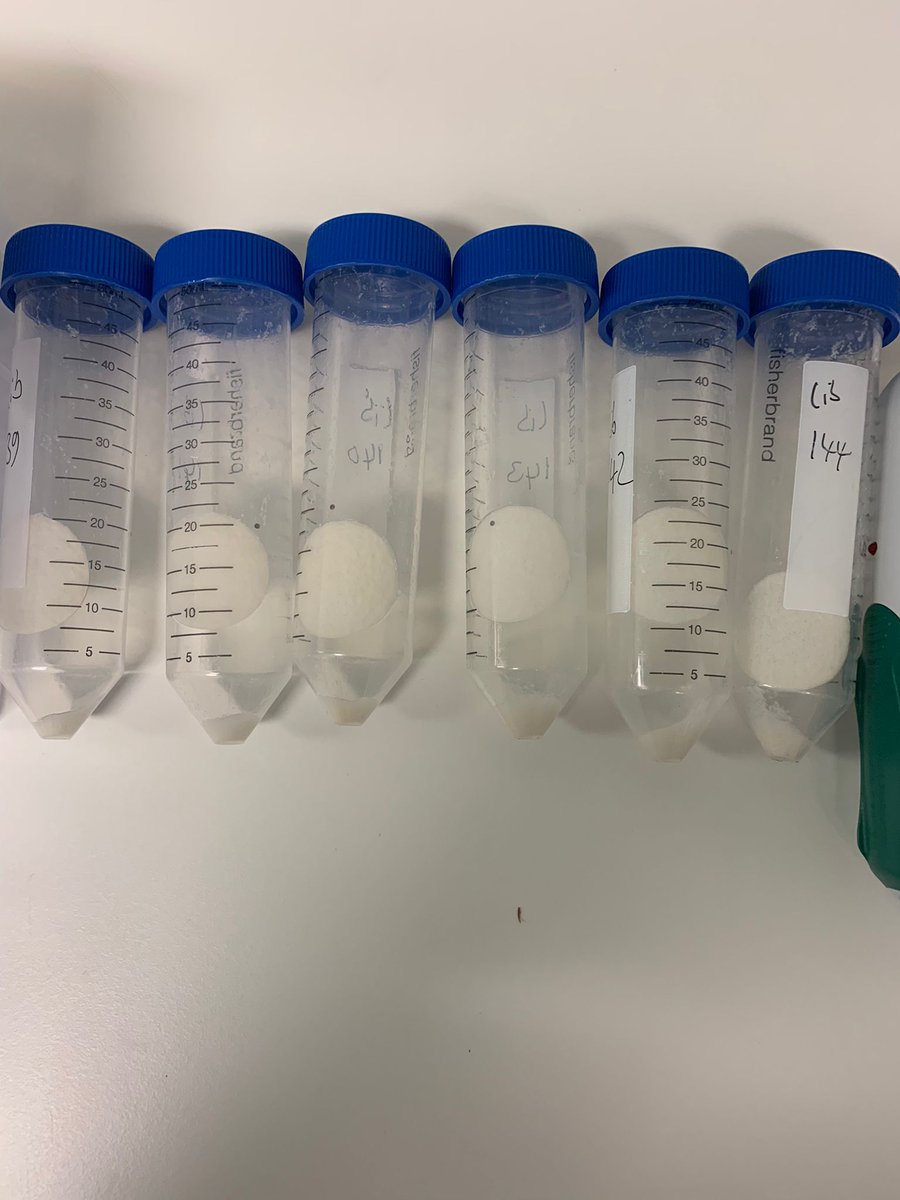 coding_bio's tweet image. An image of perfect round pellets that we definitely find #oddlysatisfying. Do you?

#codingbio #pellets #science