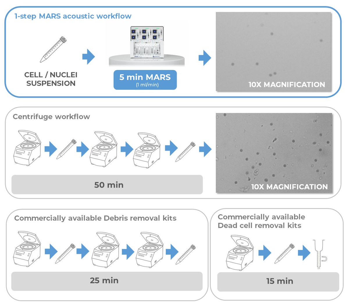 AppliedCells's tweet photo. The MARS® workflow eliminates the need for centrifugation. Save time and increase efficiency while achieving superior debris and dead cell removal.
Learn more about our MARS® Systems now: https://t.co/mCKZLPSsl6
#labautomation #cellseparation #nocentrifugation #cellisolation https://t.co/thoROSMfCM