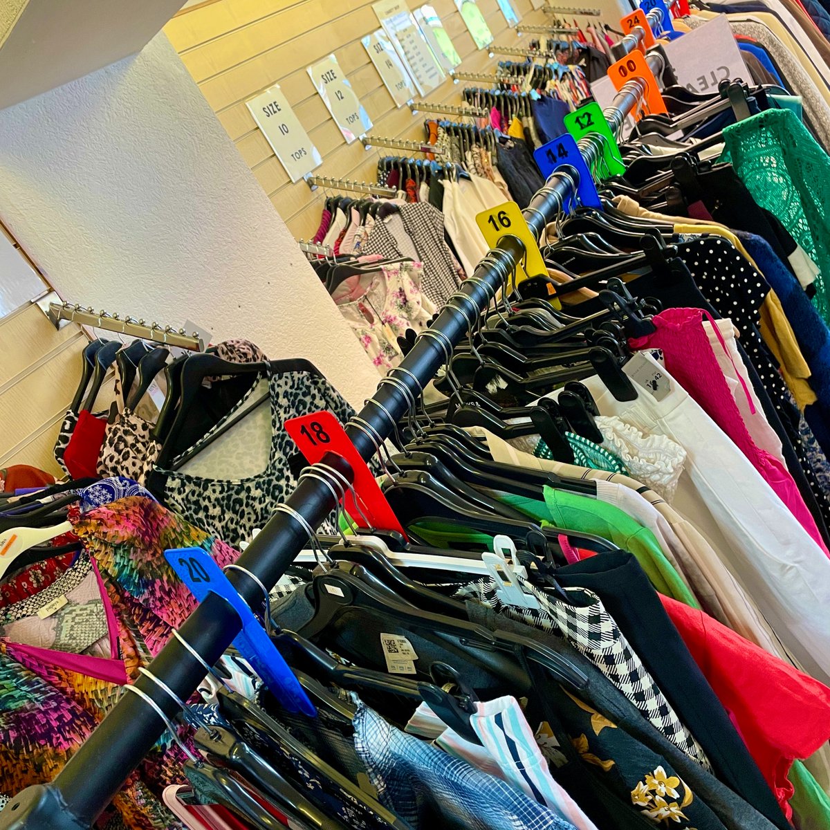 Lancashire Women | Charity tweet media