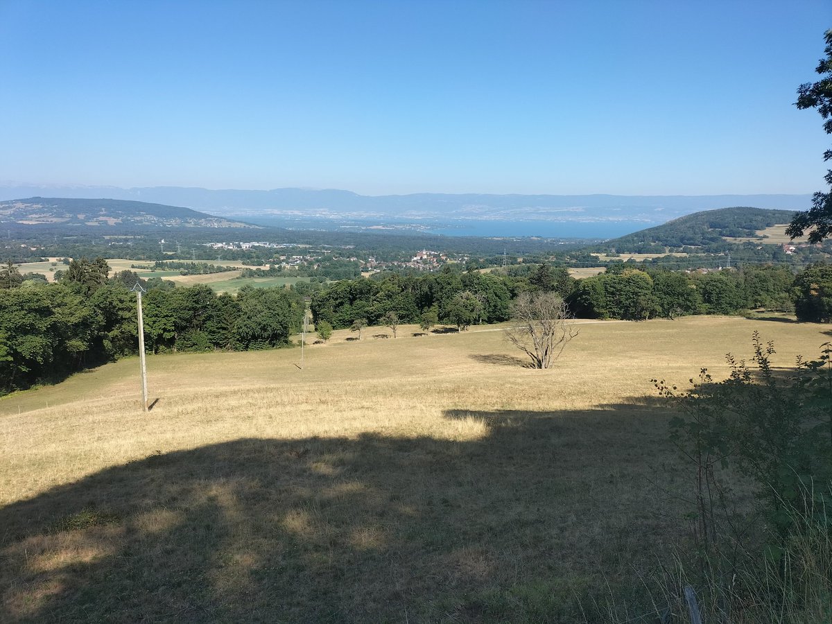 ChRolandMaths's tweet photo. Col de cou par Fessy 🚵🤩
#faitesdusport #faitesduvélo #activité #entretienphysique #nature #bienêtre #bonheur
#fessy #chablais #hautesavoie #dpt74 #yaute #france
😉 @sache_martine @YoduLeman @classeTICE @BrossardMathHEC @petitegraine255 @EdithPY2 @AssoChablais https://t.co/ijXLIrKgKs
