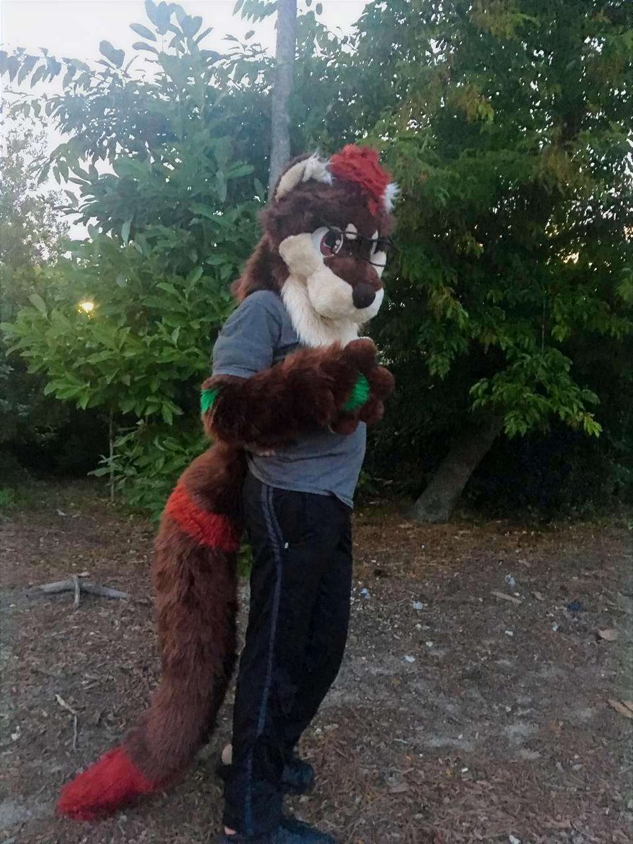 FursuitReview's tweet photo. New #fursuit review:
[YES] Leaf (Kaze) the Otter Partial by @quescostumes

Read it here:
https://t.co/XejxTw1RSQ https://t.co/lWbVCbIRnA