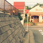 悲しそうに下を覗く犬。しかしそれはトラップだった!？